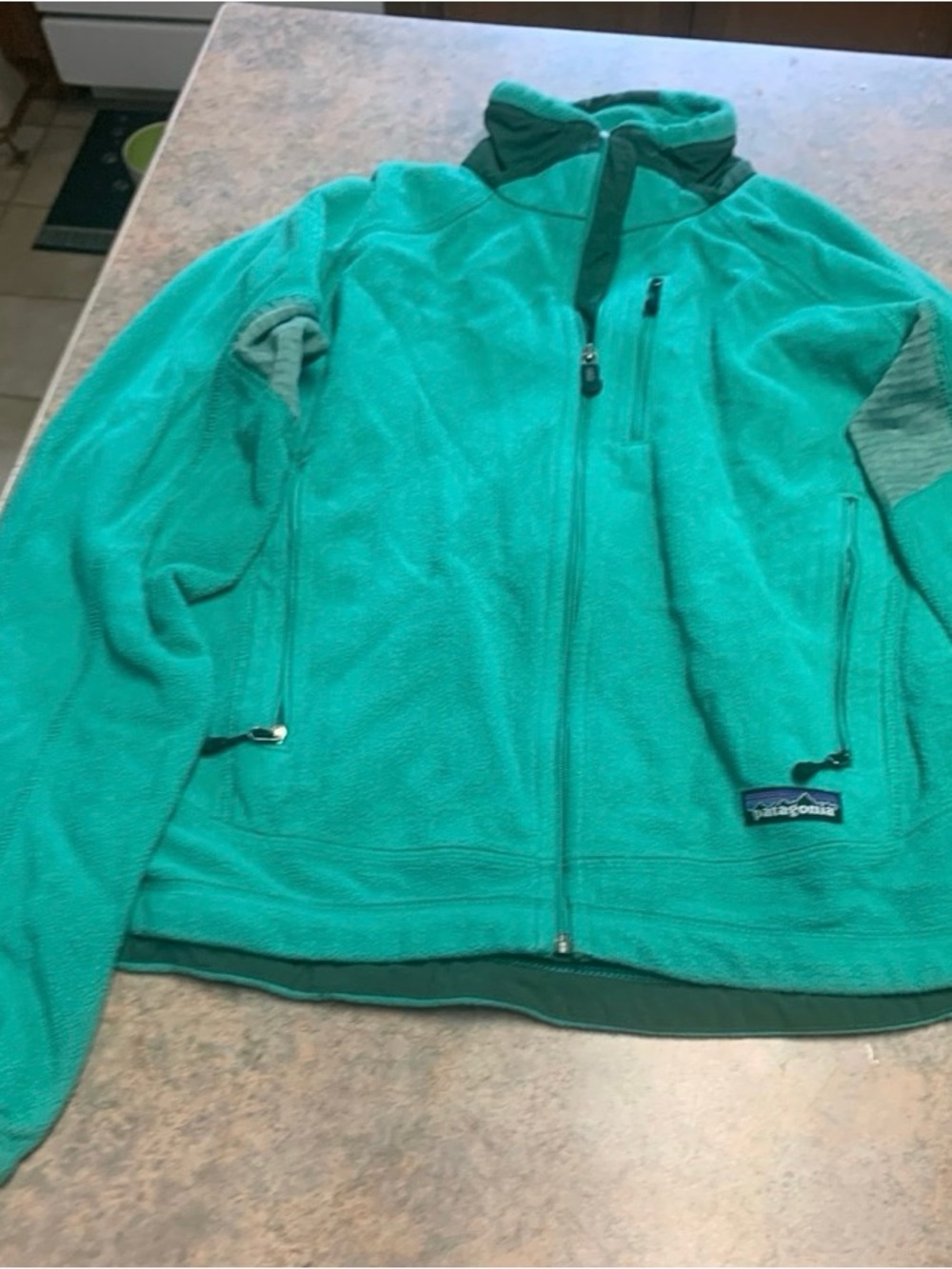 Patagonia jacket